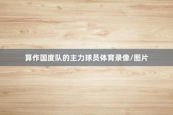 算作国度队的主力球员体育录像/图片