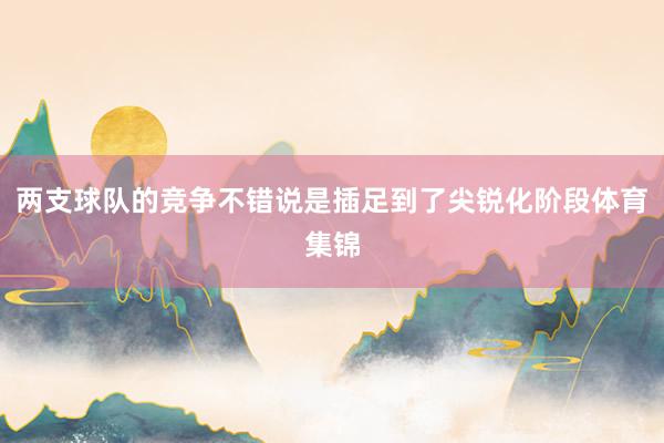 两支球队的竞争不错说是插足到了尖锐化阶段体育集锦