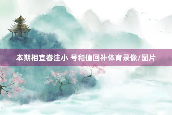 本期相宜眷注小 号和值回补体育录像/图片