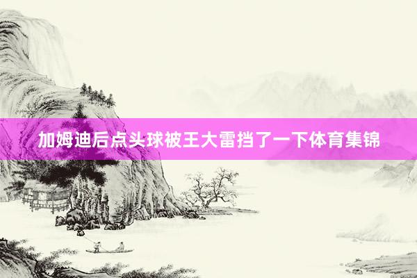 加姆迪后点头球被王大雷挡了一下体育集锦