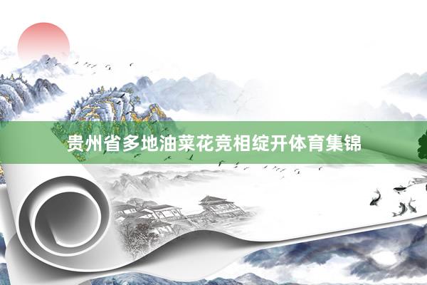 贵州省多地油菜花竞相绽开体育集锦