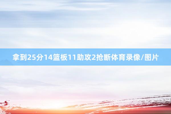 拿到25分14篮板11助攻2抢断体育录像/图片