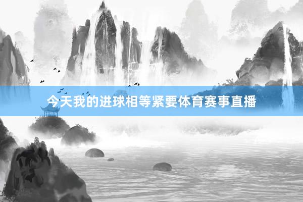 今天我的进球相等紧要体育赛事直播