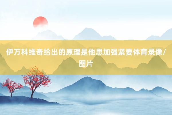 伊万科维奇给出的原理是他思加强紧要体育录像/图片