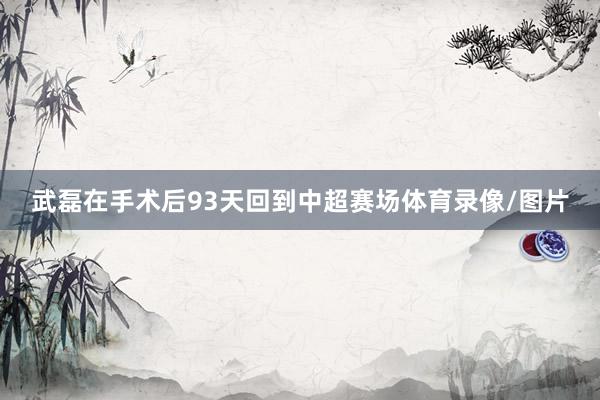 武磊在手术后93天回到中超赛场体育录像/图片