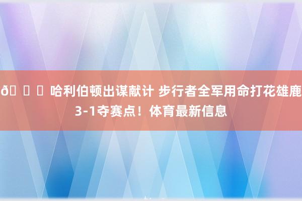 🏎哈利伯顿出谋献计 步行者全军用命打花雄鹿3-1夺赛点！体育最新信息
