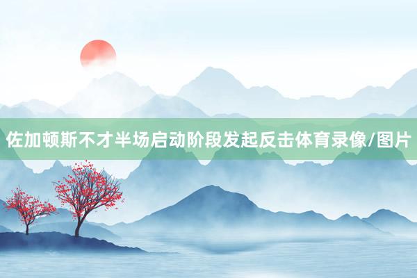 佐加顿斯不才半场启动阶段发起反击体育录像/图片