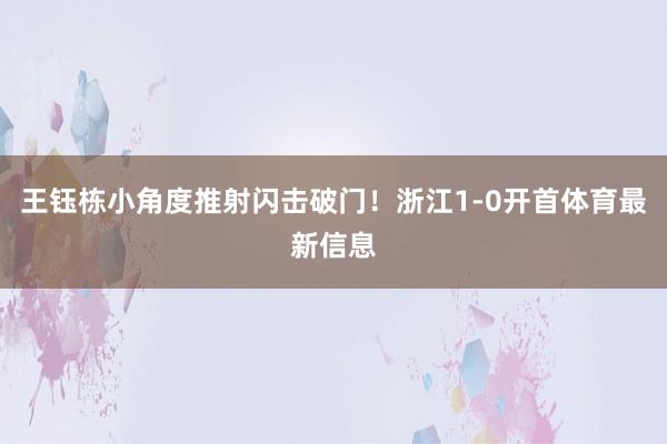 王钰栋小角度推射闪击破门！浙江1-0开首体育最新信息