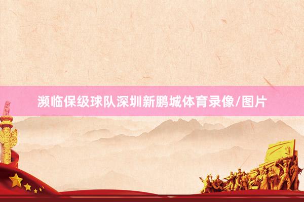 濒临保级球队深圳新鹏城体育录像/图片