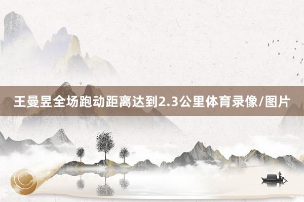 王曼昱全场跑动距离达到2.3公里体育录像/图片