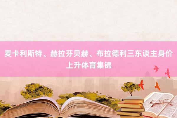 麦卡利斯特、赫拉芬贝赫、布拉德利三东谈主身价上升体育集锦