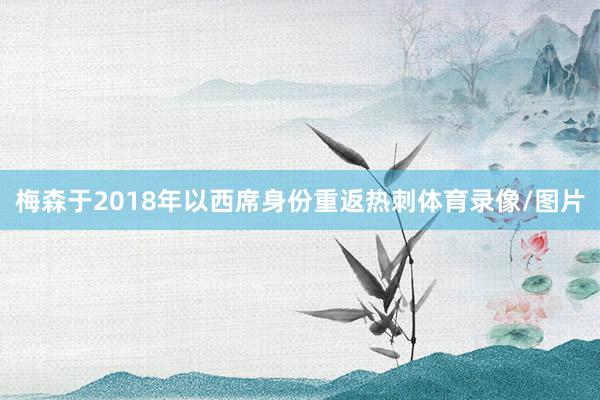 梅森于2018年以西席身份重返热刺体育录像/图片