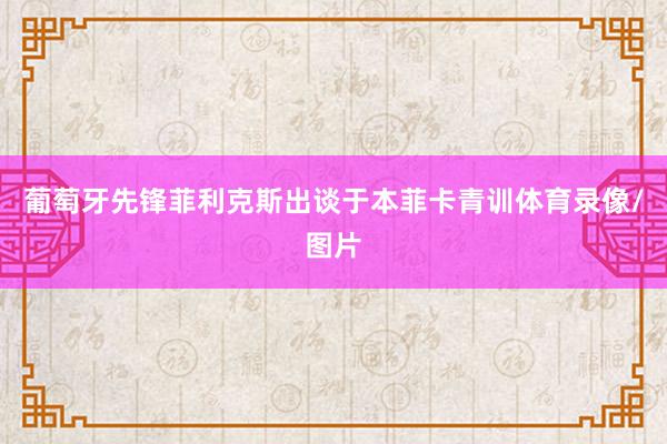 葡萄牙先锋菲利克斯出谈于本菲卡青训体育录像/图片