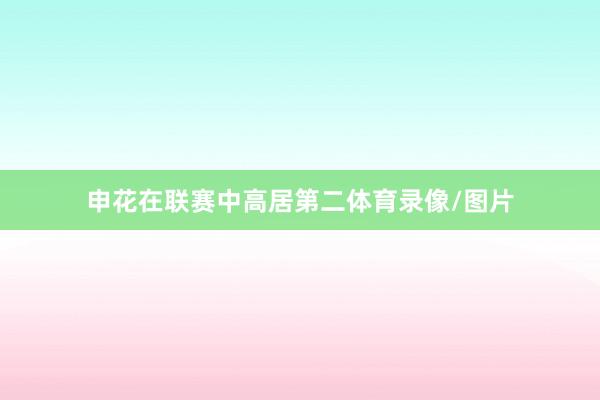 申花在联赛中高居第二体育录像/图片