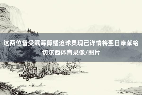 这两位备受瞩筹算蹙迫球员现已详情将翌日奉献给切尔西体育录像/图片