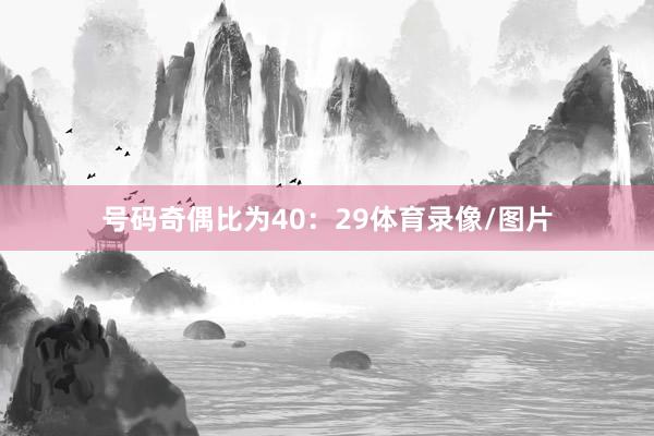 号码奇偶比为40：29体育录像/图片