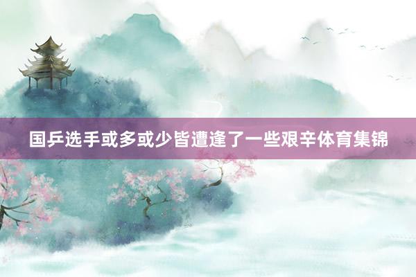国乒选手或多或少皆遭逢了一些艰辛体育集锦