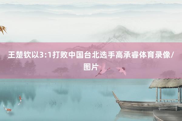王楚钦以3:1打败中国台北选手高承睿体育录像/图片