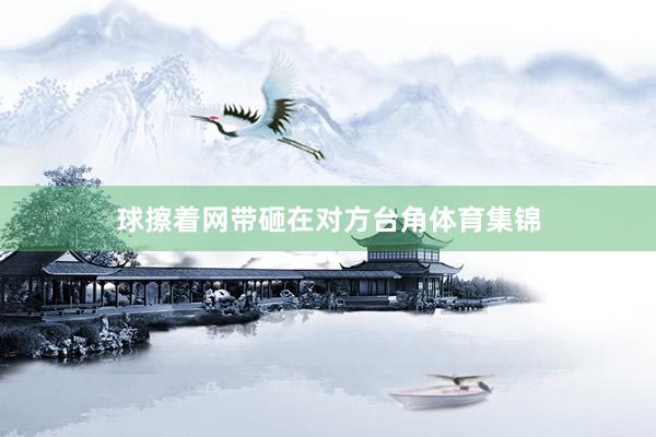 球擦着网带砸在对方台角体育集锦