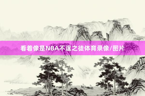 看着像是NBA不逞之徒体育录像/图片