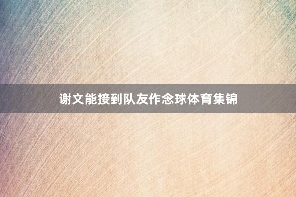 谢文能接到队友作念球体育集锦