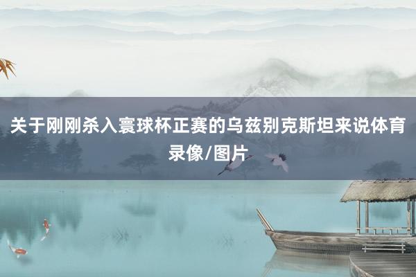 关于刚刚杀入寰球杯正赛的乌兹别克斯坦来说体育录像/图片
