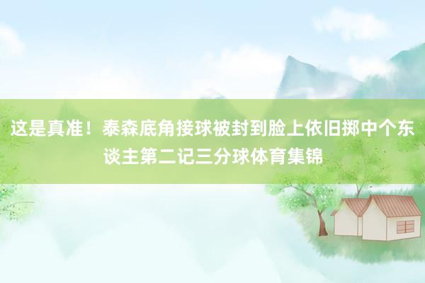 这是真准！泰森底角接球被封到脸上依旧掷中个东谈主第二记三分球体育集锦