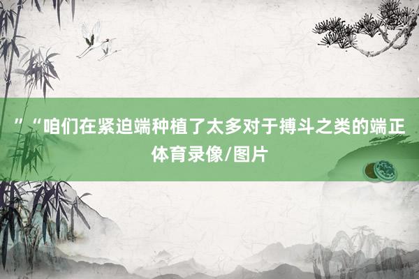 ”“咱们在紧迫端种植了太多对于搏斗之类的端正体育录像/图片