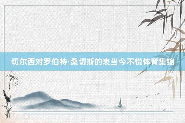 切尔西对罗伯特·桑切斯的表当今不悦体育集锦
