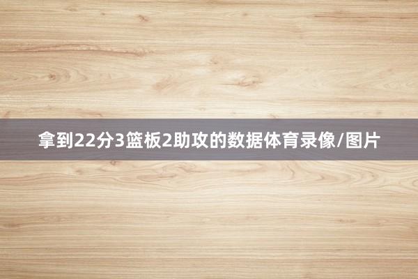 拿到22分3篮板2助攻的数据体育录像/图片