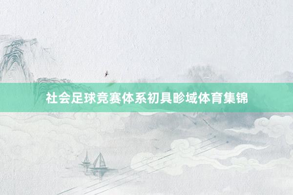 社会足球竞赛体系初具畛域体育集锦