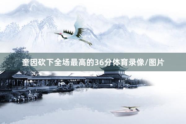 奎因砍下全场最高的36分体育录像/图片