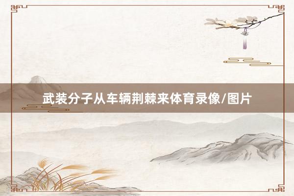 武装分子从车辆荆棘来体育录像/图片