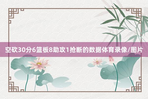 空砍30分6篮板8助攻1抢断的数据体育录像/图片