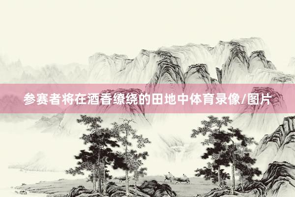 参赛者将在酒香缭绕的田地中体育录像/图片