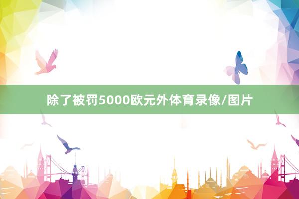 除了被罚5000欧元外体育录像/图片