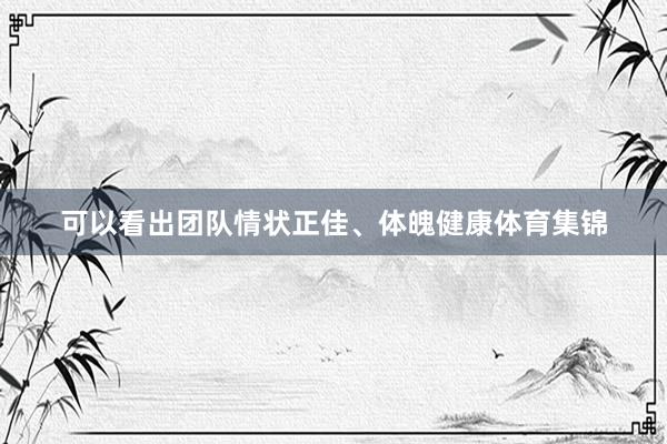 可以看出团队情状正佳、体魄健康体育集锦
