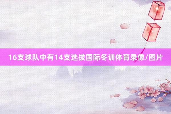 16支球队中有14支选拔国际冬训体育录像/图片