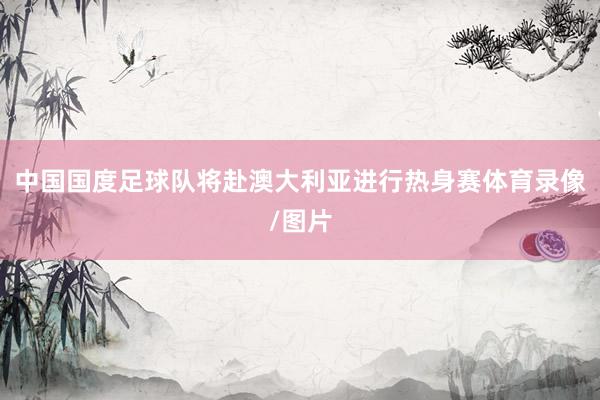 中国国度足球队将赴澳大利亚进行热身赛体育录像/图片
