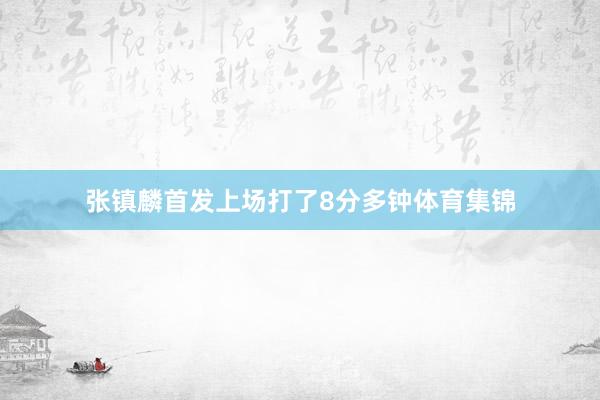 张镇麟首发上场打了8分多钟体育集锦