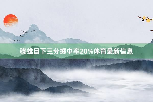 骁雄目下三分掷中率20%体育最新信息