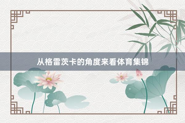 从格雷茨卡的角度来看体育集锦