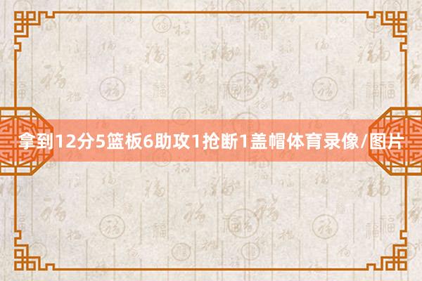 拿到12分5篮板6助攻1抢断1盖帽体育录像/图片