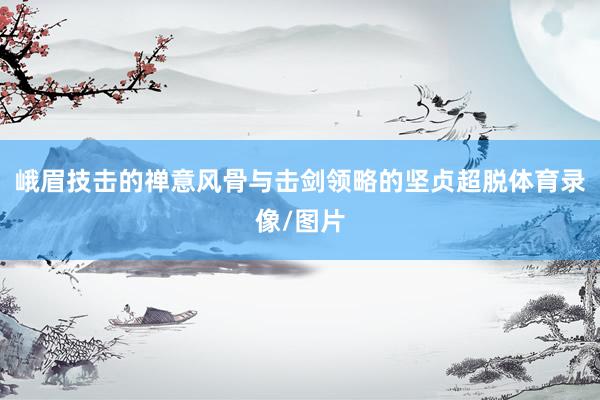 峨眉技击的禅意风骨与击剑领略的坚贞超脱体育录像/图片
