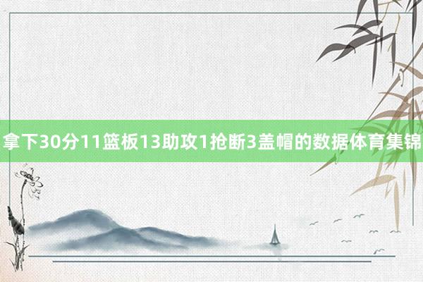 拿下30分11篮板13助攻1抢断3盖帽的数据体育集锦