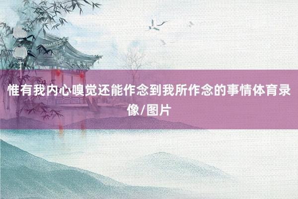 惟有我内心嗅觉还能作念到我所作念的事情体育录像/图片