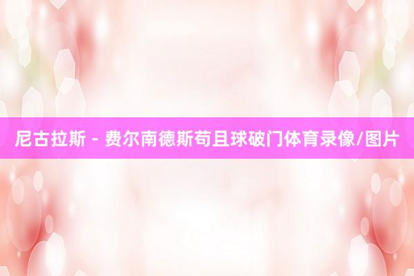 尼古拉斯 - 费尔南德斯苟且球破门体育录像/图片