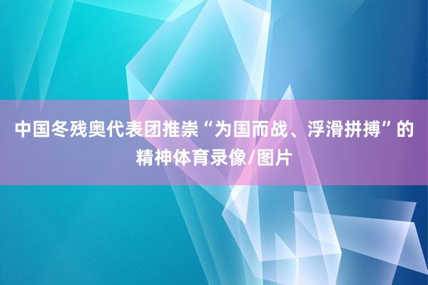 中国冬残奥代表团推崇“为国而战、浮滑拼搏”的精神体育录像/图片
