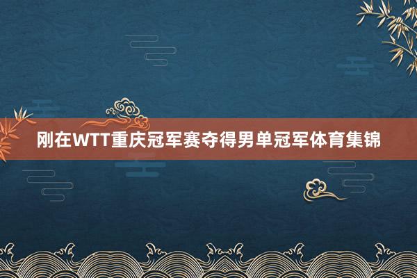 刚在WTT重庆冠军赛夺得男单冠军体育集锦
