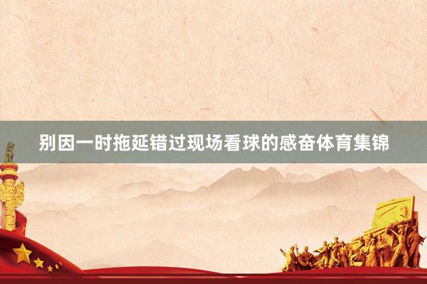 别因一时拖延错过现场看球的感奋体育集锦